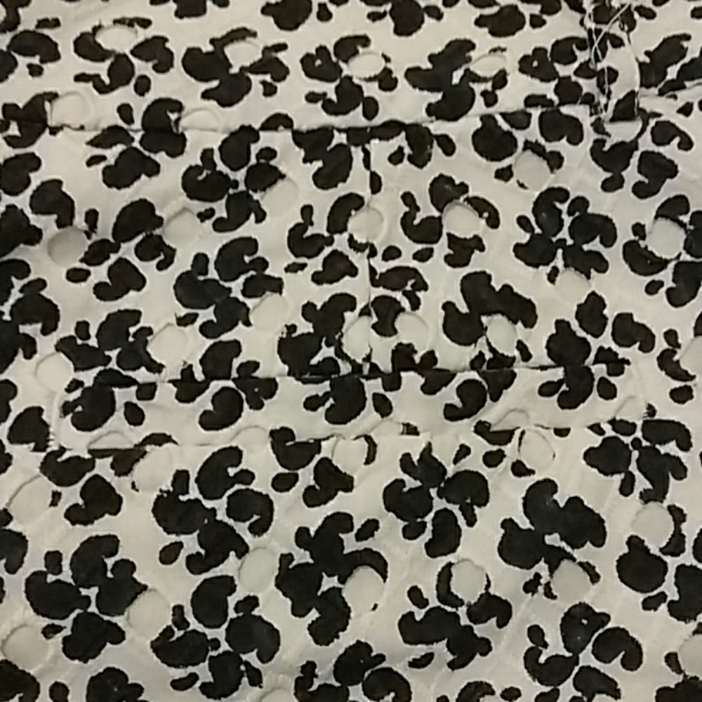 ANN TAYLOR LOFT shorts - Picture 4 of 6